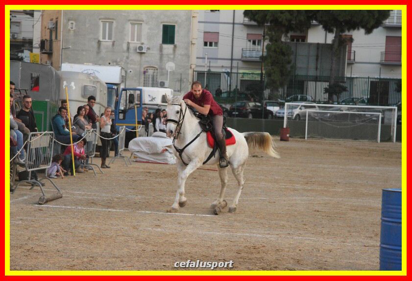 161106 equestre 027_tn.jpg